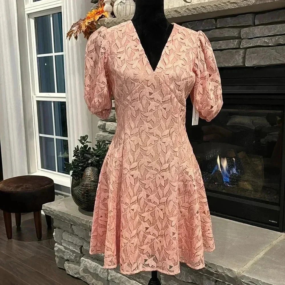 Shoshanna Alize Blush,Lace Overlay,V-Neck,Short Puff Sleeves,A-Line,Empire Waist