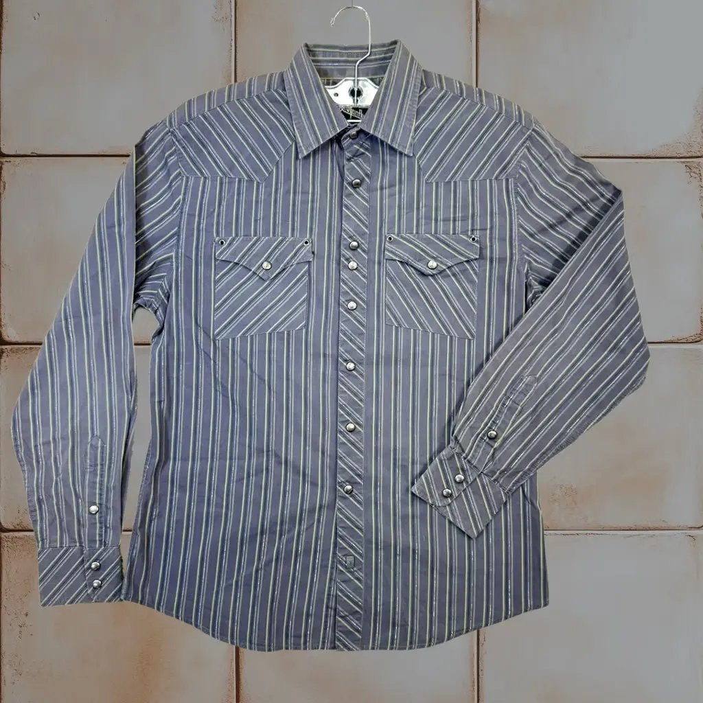 Dragonfly Western Shirt Mens Medium Grey Purple Lime Striped Snap Front Euc, Men's