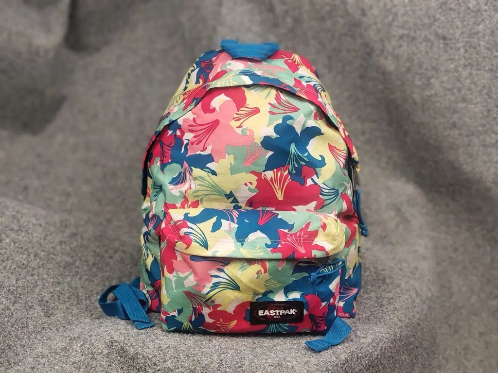 Vintage Eastpak Unisex Padded Pak'r Backpack Multicolor Autentic 620, Men's