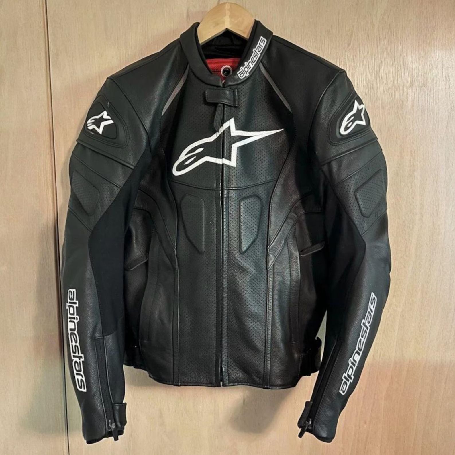 Alpinestars Men's Leather Fashion Jackets, Biker Style, Fashion Jacket (Size Small)