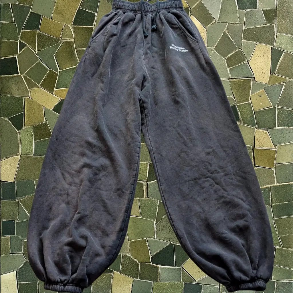 Siegelman Stable Pants Mens Xs Gray Fleece Organic Cotton Sweatpants Joggers Usa, Men's (Size 27)