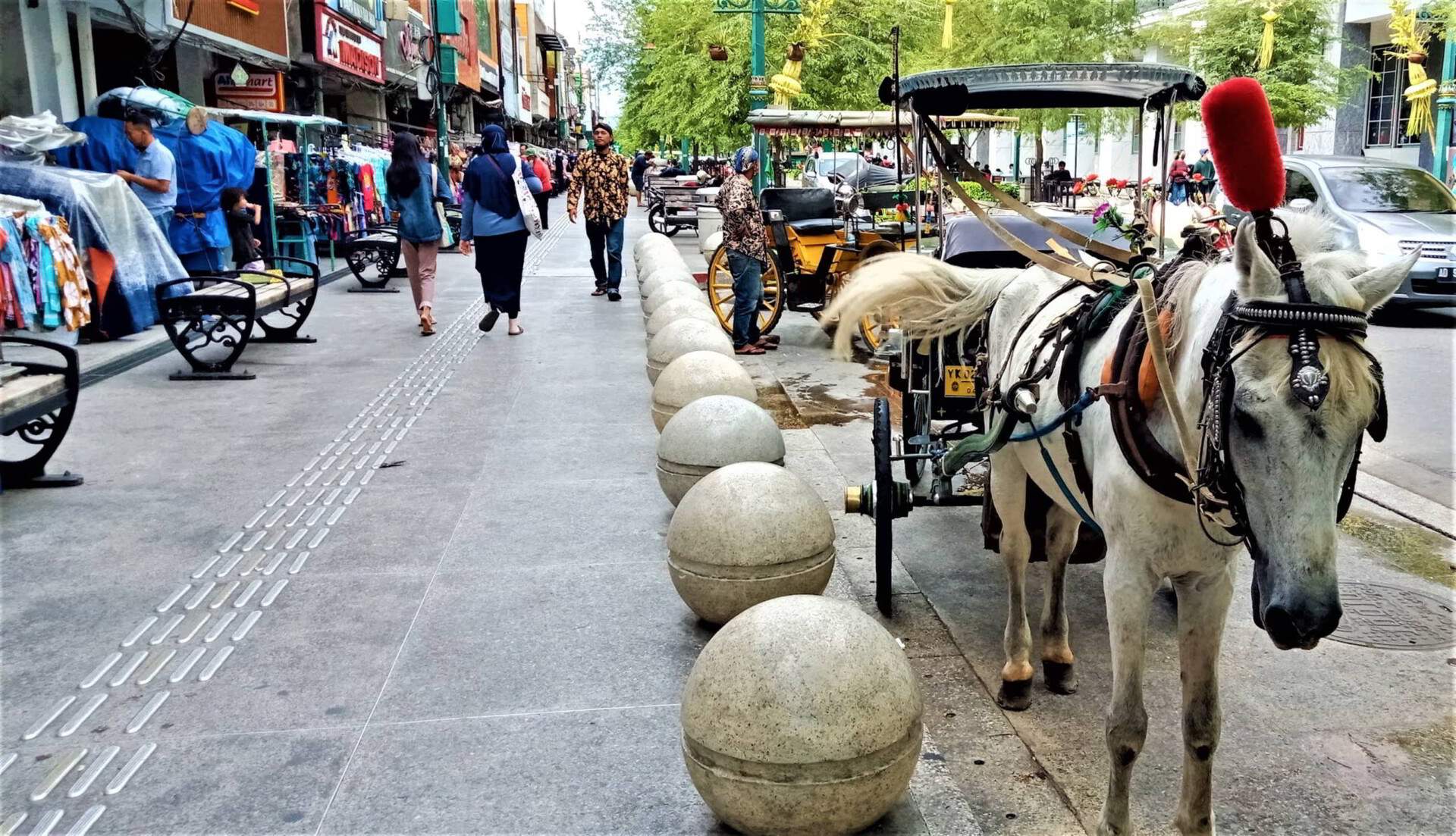 Andong Khas Jogja di Malioboro Andong Khas Jogja di Malioboro