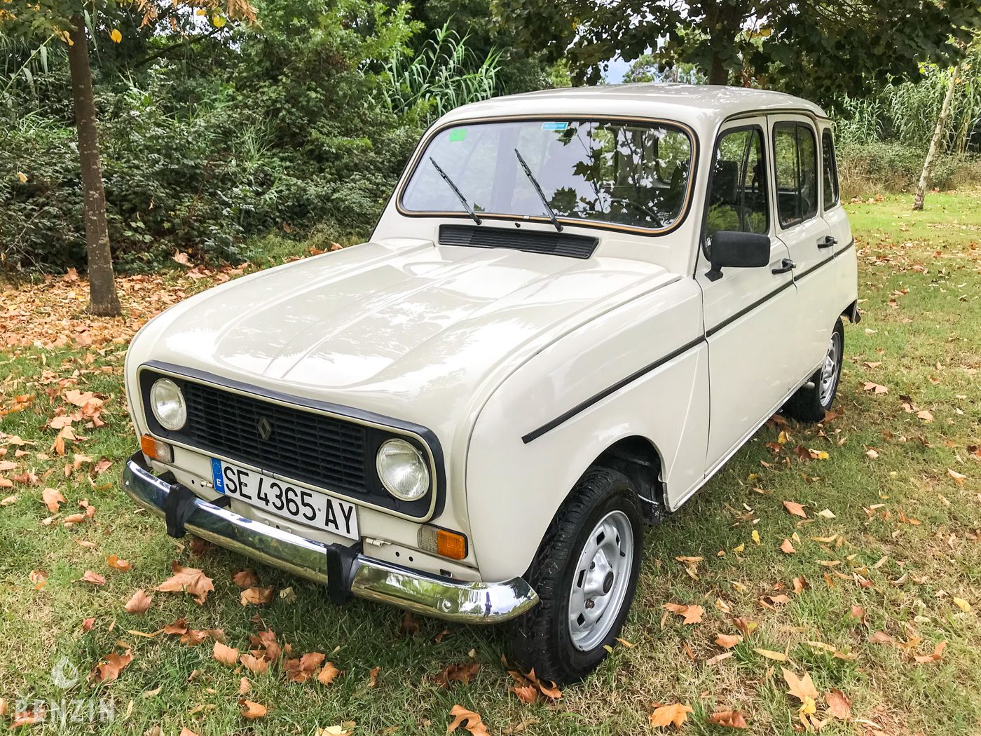 benzin-renault-4-tl-1989