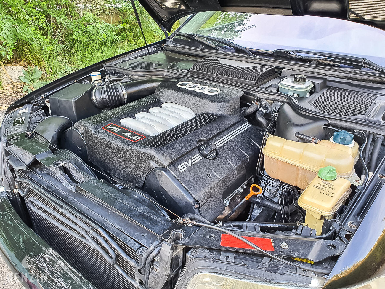 Benzin Audi S8 D2 Manual 1999