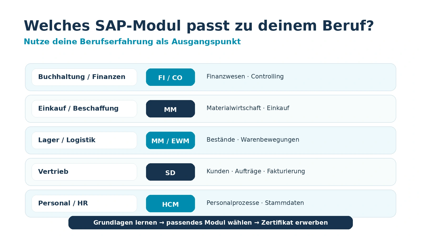 SAP Module für Quereinsteiger nach Beruf