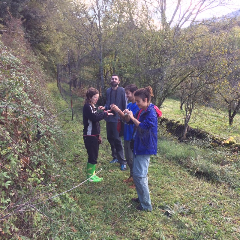 Photo: Curs d'introducció a l'anellament al Zoo