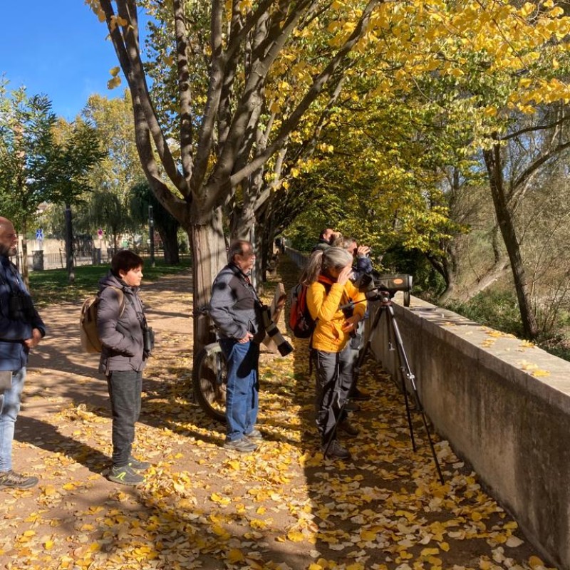 Photo: Curs flash d'introducció a l'ornitologia al Parc de Montesquiu