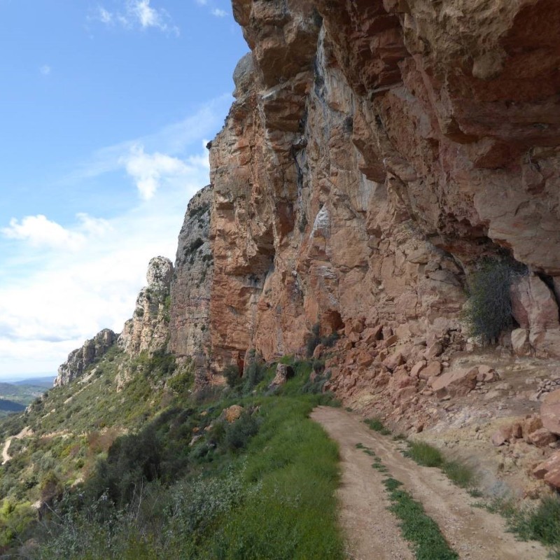 Photo: Sortida a la serra del Mont-roig