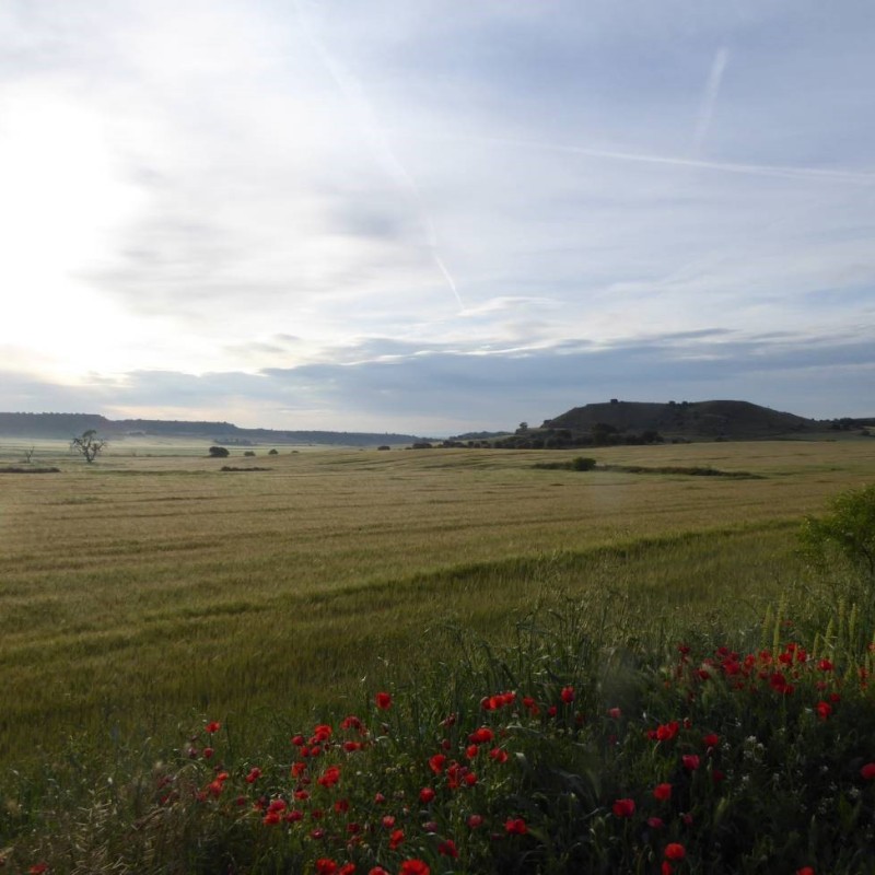 Photo: Sortida al secà de Balaguer