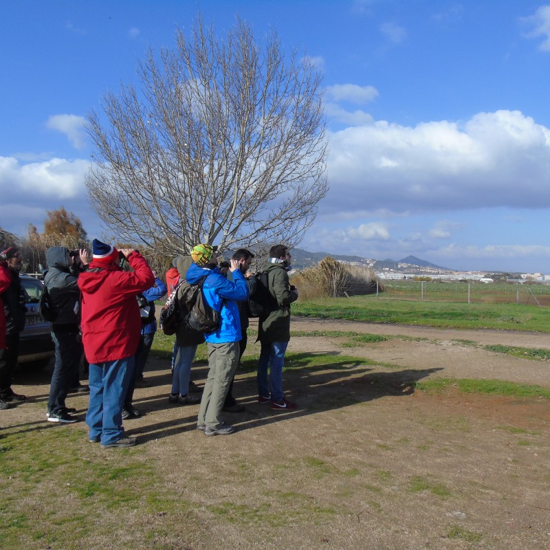 Photo: Curs d'introducció a l'ornitologia