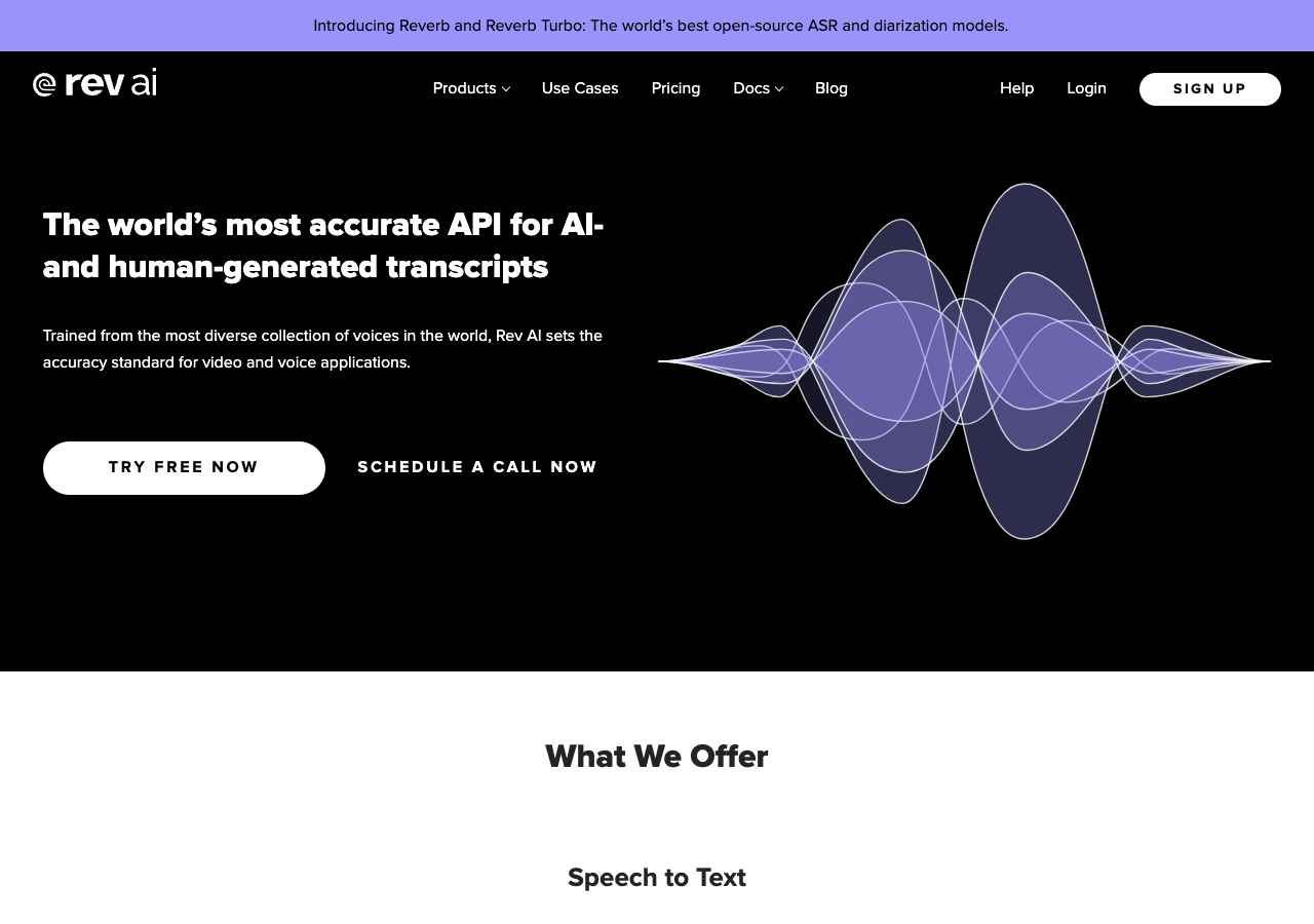 Screenshot of Rev AI