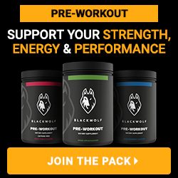 best pre-workout supplement 2013