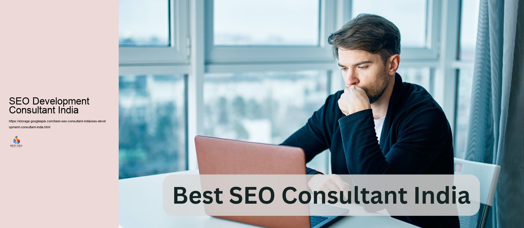 SEO Development Consultant India