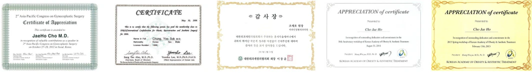 아시아태평양 부인성형외과학회 등 국제학회 강연 인증서 - 더라인성형외과