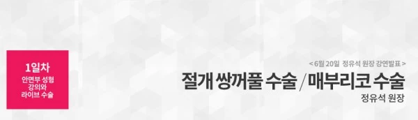 [라이브수술 워크샵] 세계 각국 30여명의 해외의료진들을 대상으로 한 라이브수술 워크샵 - 5 - 더라인성형외과