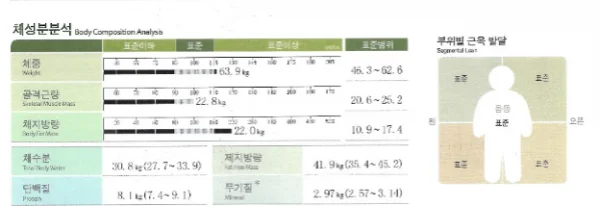 운동없이살빼기 라스트다이어트 - 2 - 더라인성형외과