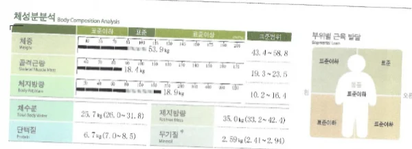 체지방 줄이는 다이어트 식단, 근육 늘린 모범 다이어터 - 2 - 더라인성형외과