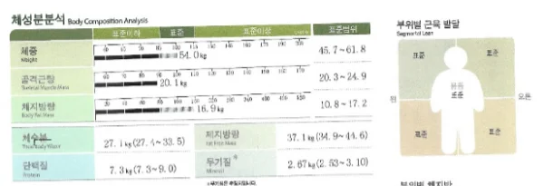 직장인 다이어트 성공기 - 2 - 더라인성형외과