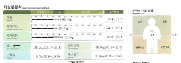 내장지방 빼는 법 성공기 - 2 - 더라인성형외과