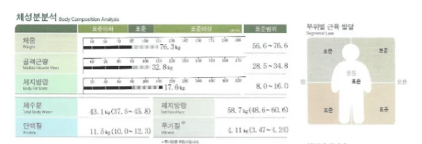 뱃살 고민 끝! 대표님이 추천하는 내장지방빼는법 - 2 - 더라인성형외과