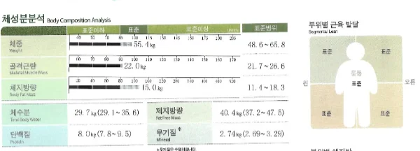 4년째 요요 없는 비결, 나잇살 다이어트 성공 후기 - 2 - 더라인성형외과