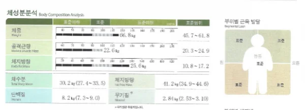 서구식 식단 극복! 체질개선다이어트 후기 - 2 - 더라인성형외과