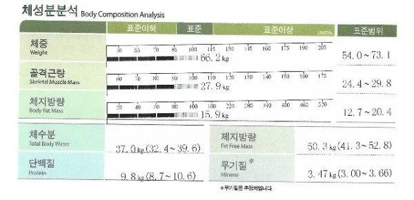 바쁜 해외 거주자를 위한 맞춤 직장인다이어트 입니다! - 2 - 더라인성형외과