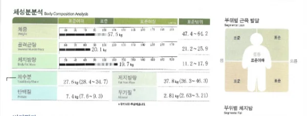 생리통 완화 라스트다이어트로 해결! - 2 - 더라인성형외과
