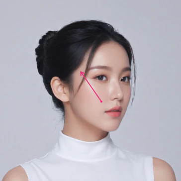 2030 미니 동안 거상 벡터의 법칙 리프팅 방향 - 더라인성형외과