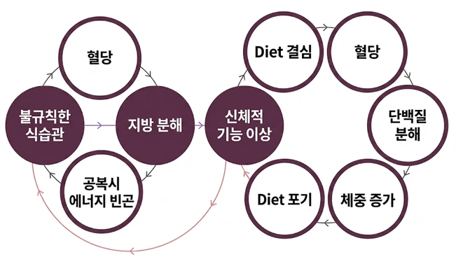 불규칙한 식습관이 만드는 지방분해 대사 억제의 악순환 사이클 - 더라인성형외과