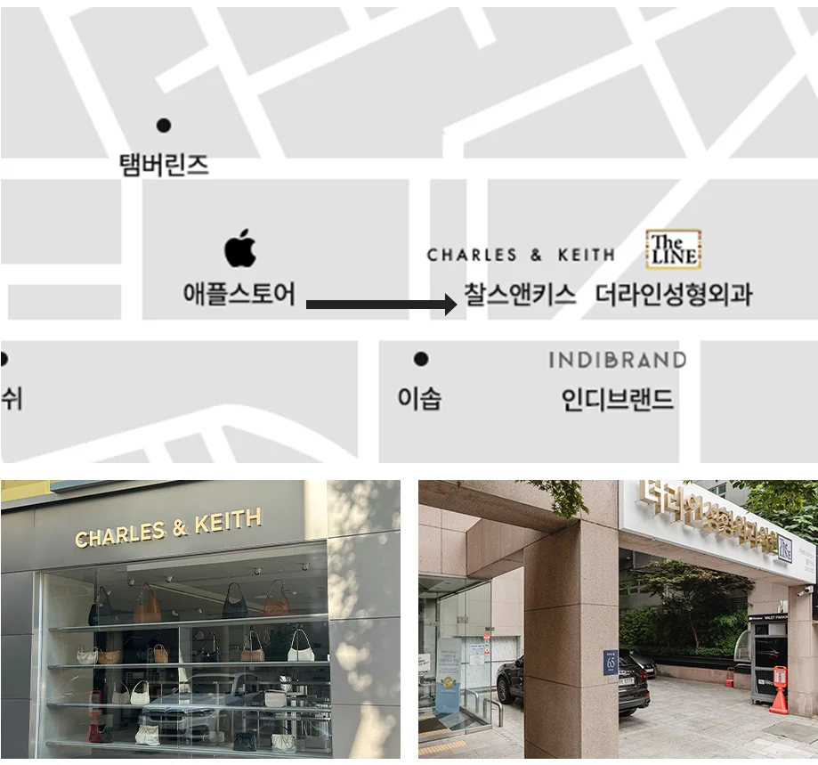 찰스앤키스를 지나 횡단보도 건너 더라인성형외과 도착 약도 - 더라인성형외과