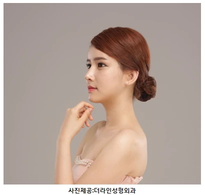 ‘내 얼굴 살리는’ 자연스러운 코라인 위한 맞춤코성형 선호 - 1 - 더라인성형외과