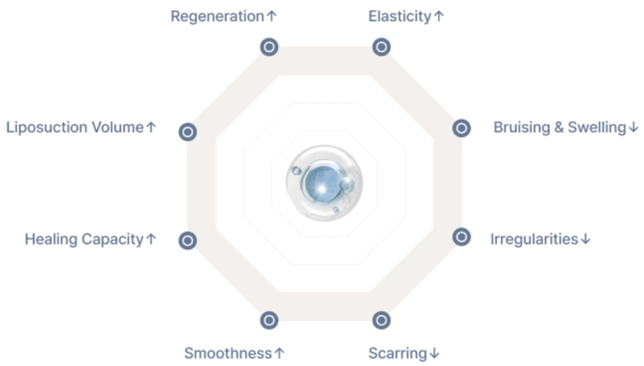 Expected changes with SVF Liposuction - more extraction volume, recovery, smoothness, regeneration and firmness, less bruising, swelling, unevenness and scarring - TheLINE Plastic Surgery