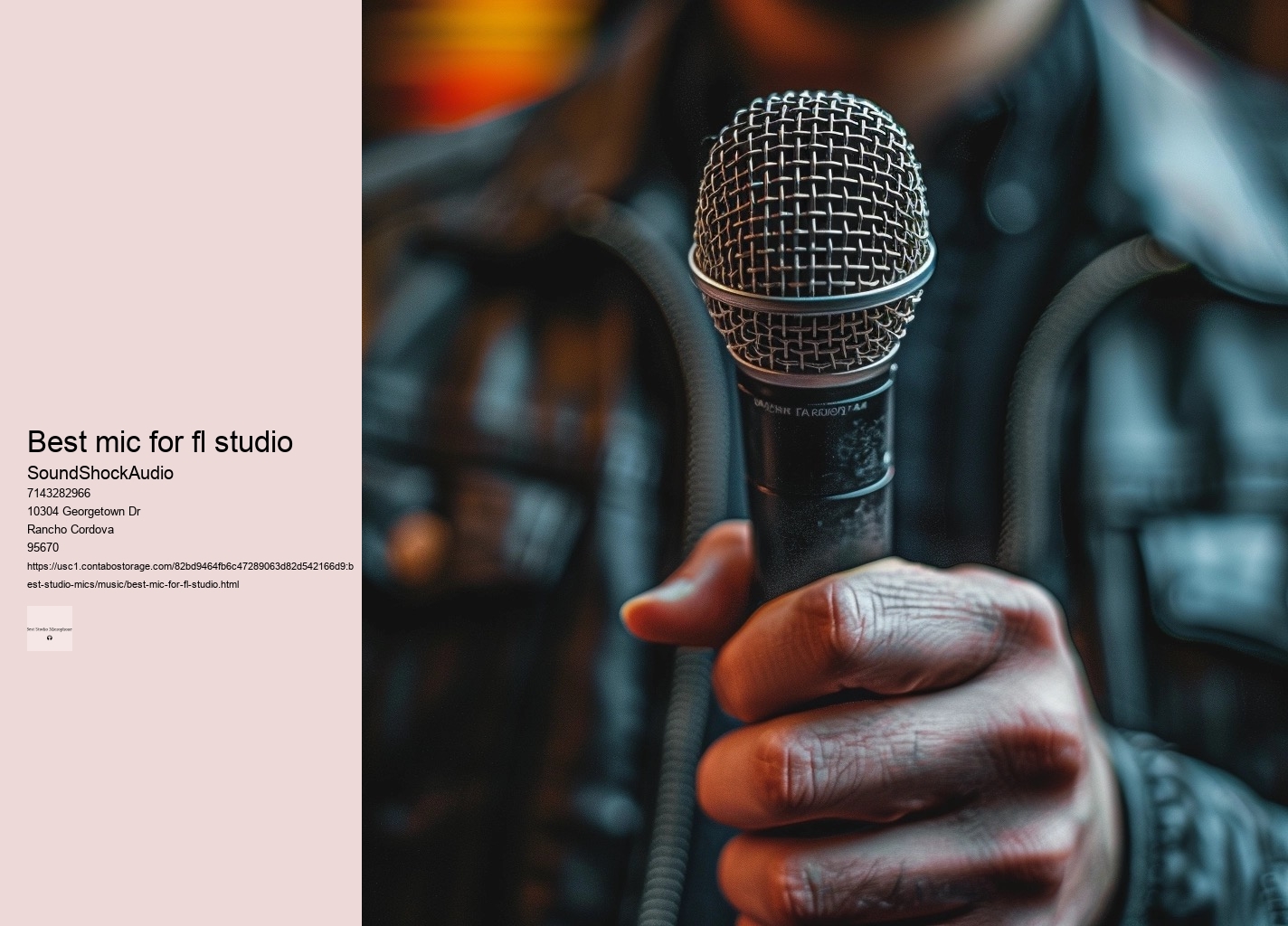 best mic for fl studio