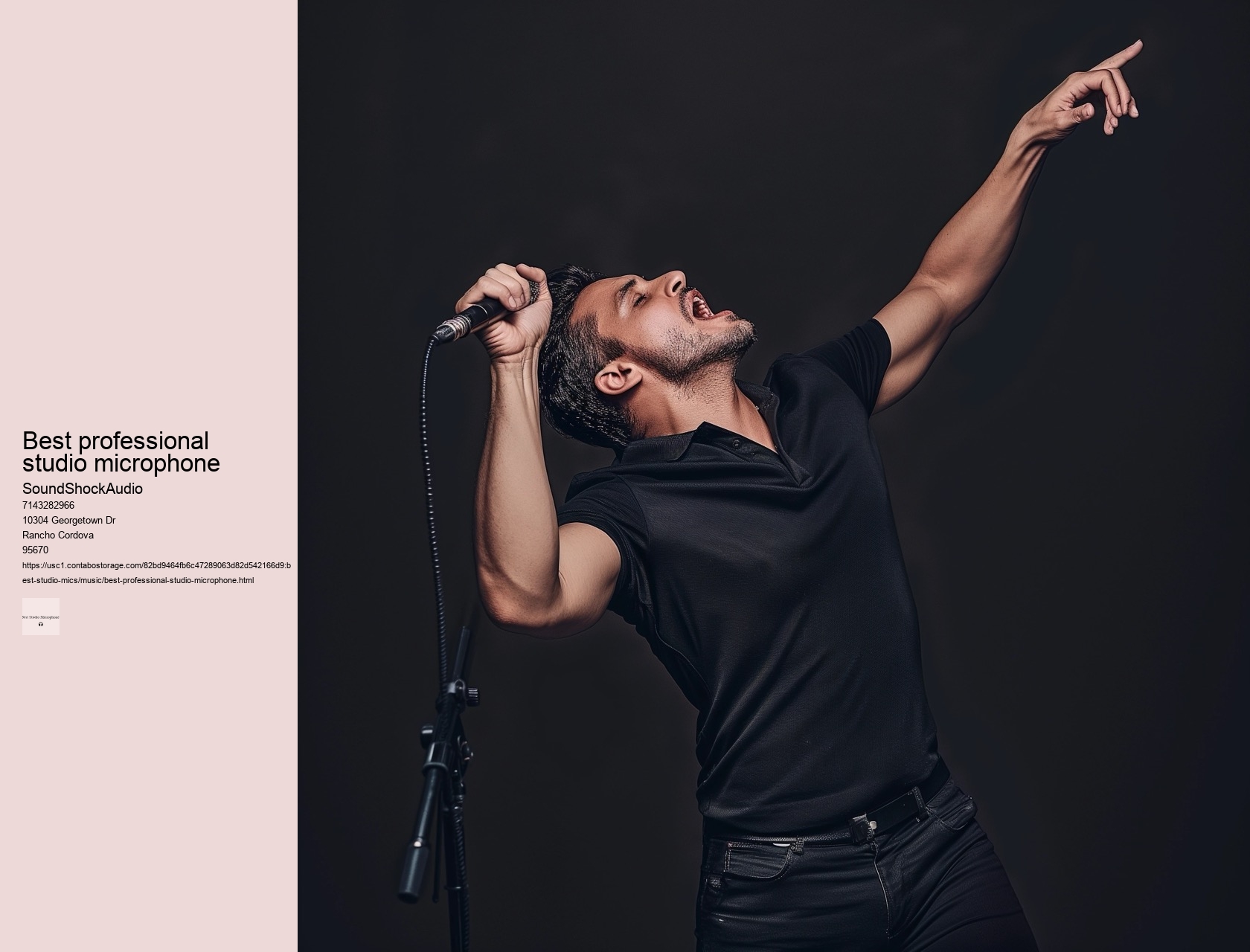 best professional studio microphone