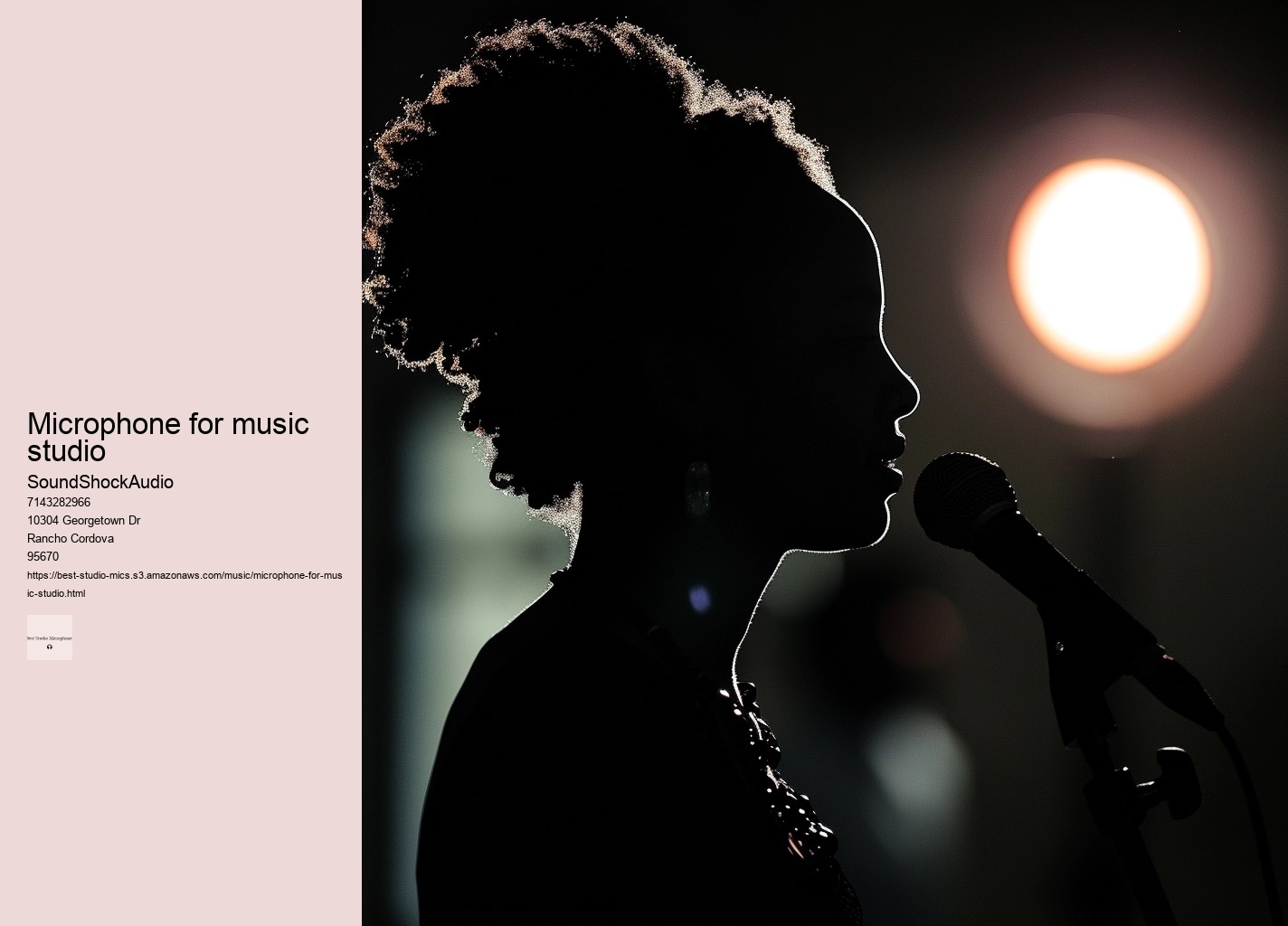 microphone for music studio