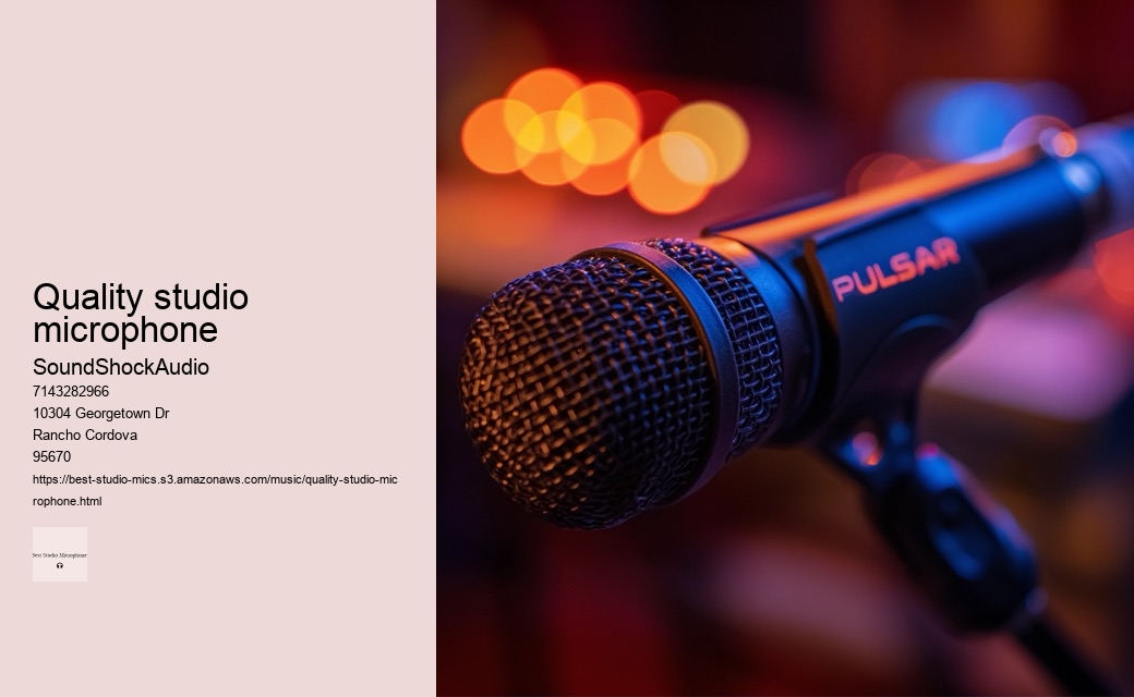 quality studio microphone