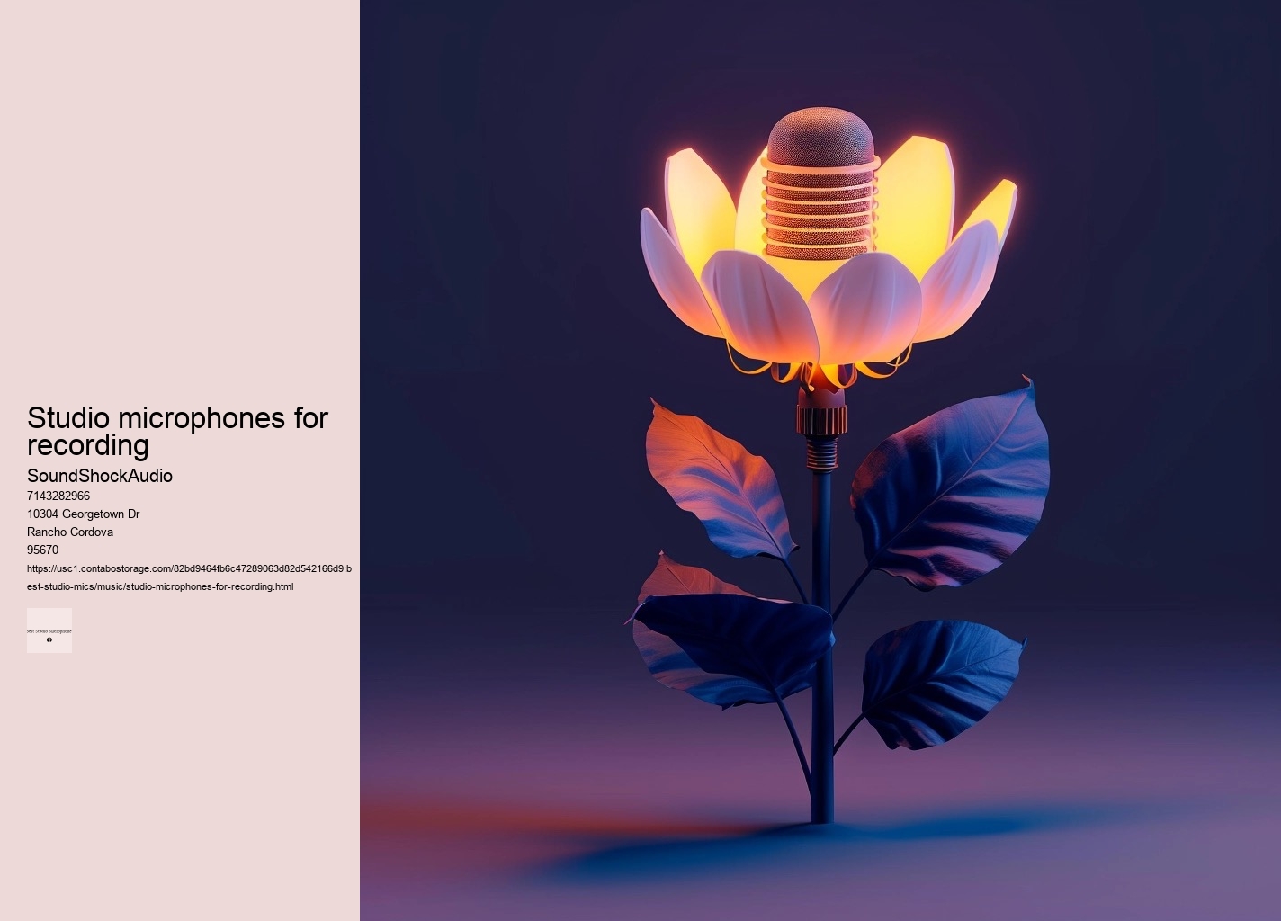 studio microphones for recording