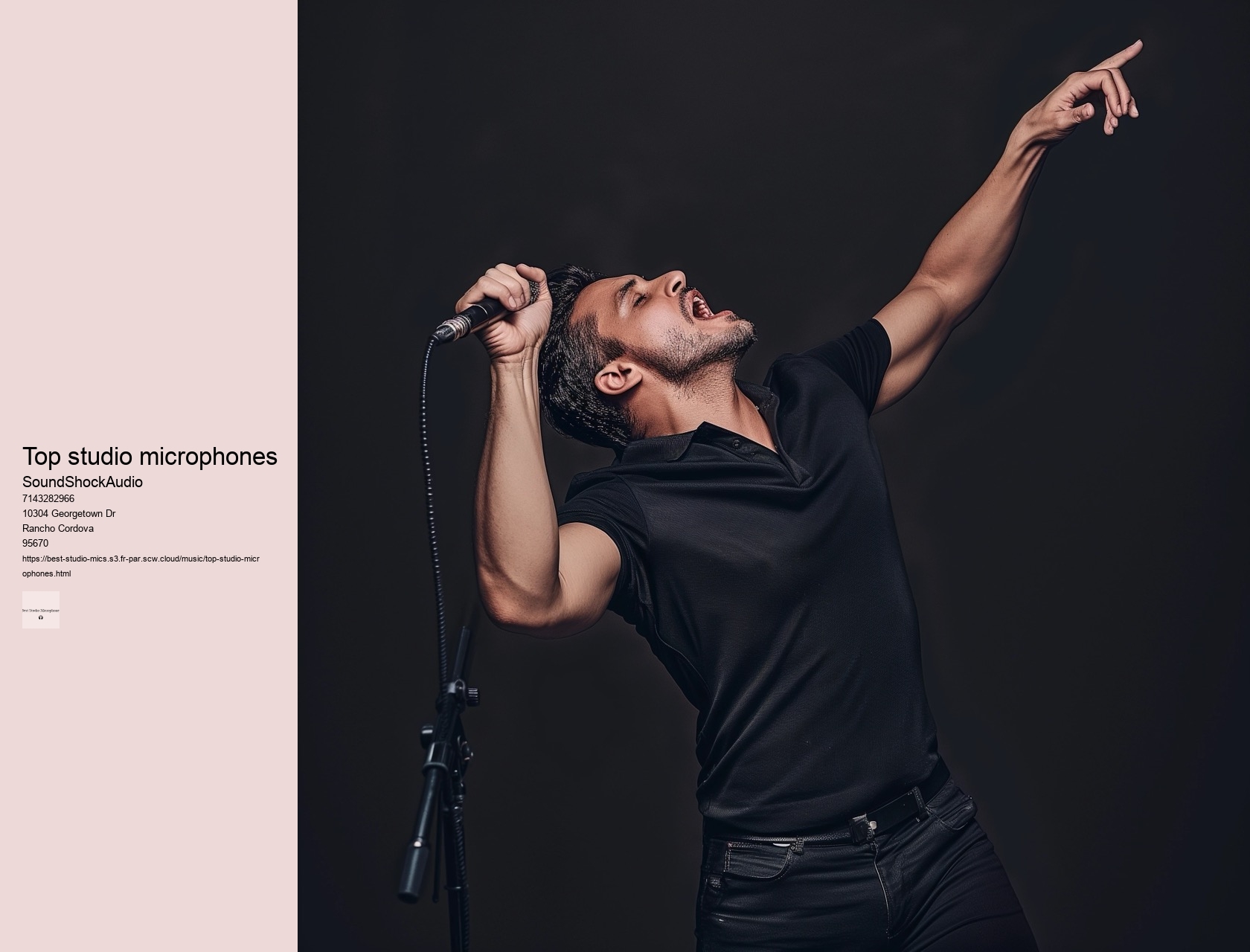 top studio microphones