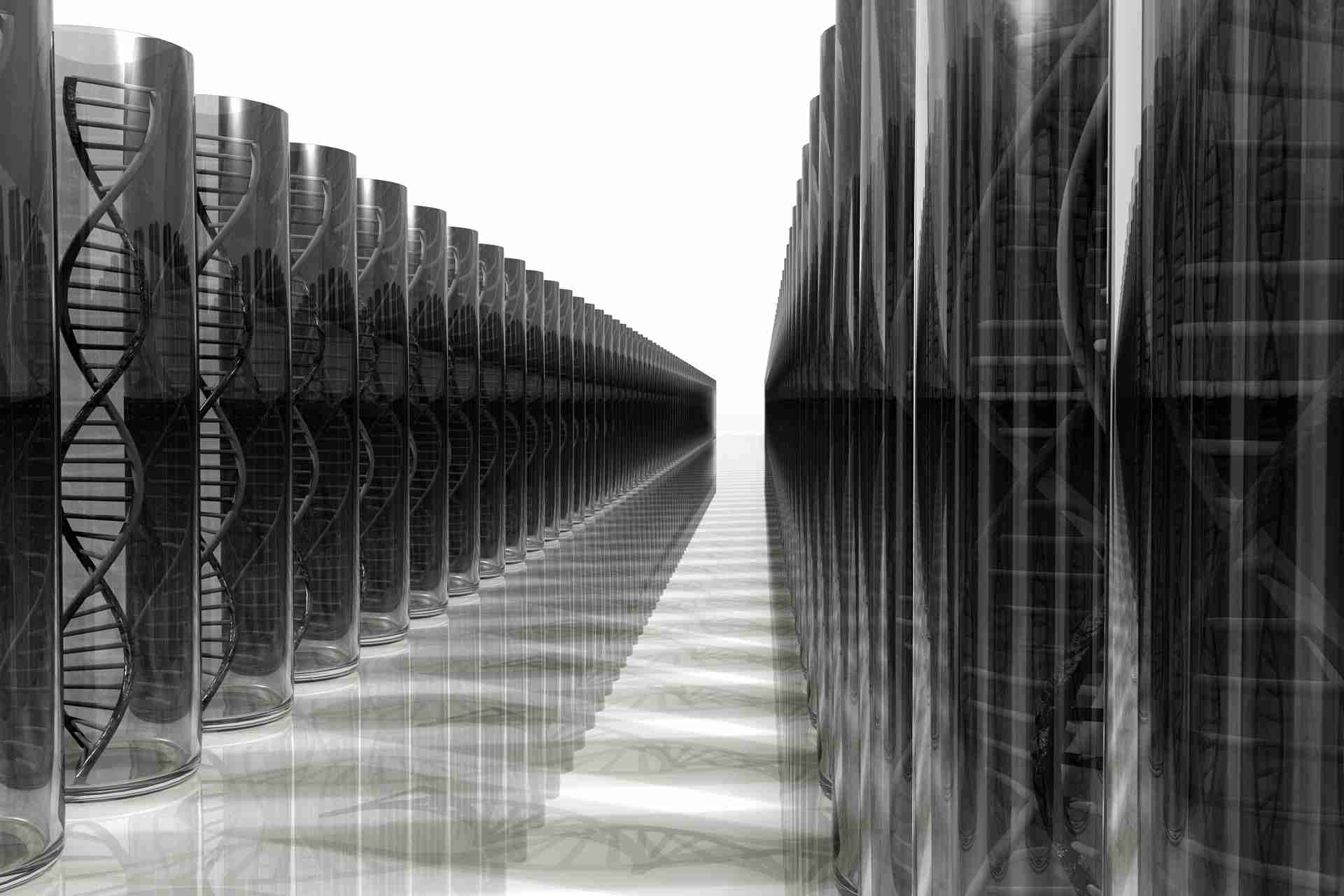 Discover the Benefits of Nmap Port Scan Software