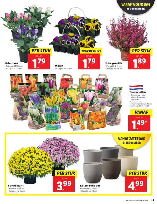 Pagina 13 van Lidl-folder