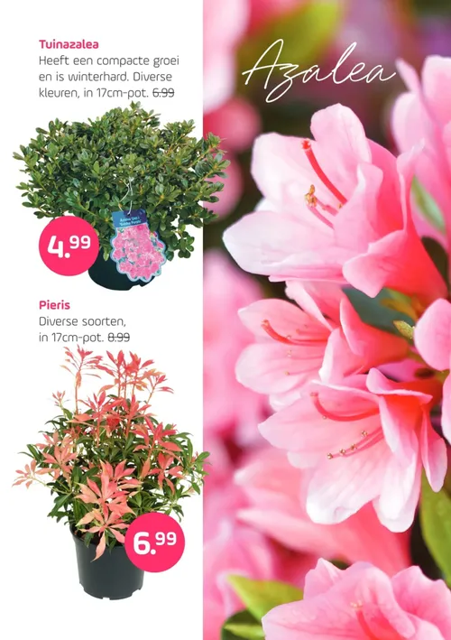 Pagina 3 van Coppelmans-folder