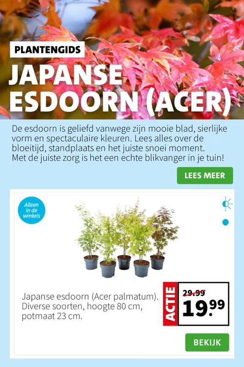 Pagina 7 van Intratuin-folder