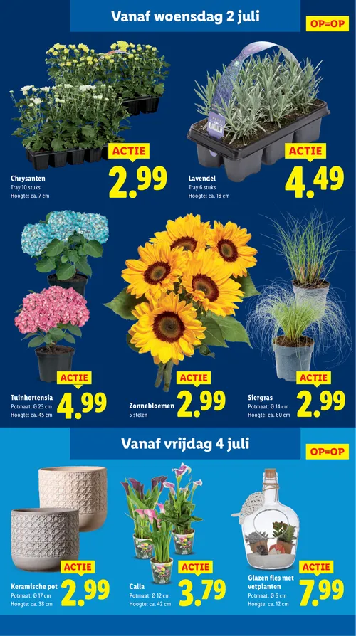 Pagina 15 van Lidl-folder