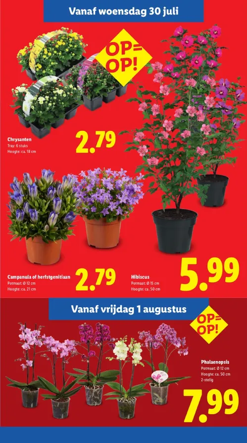 Pagina 12 van Lidl-folder