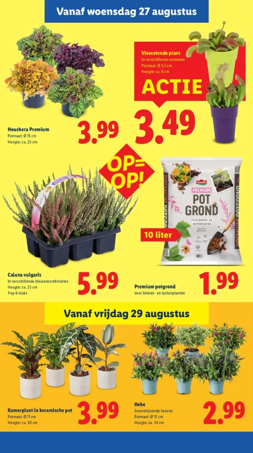 Pagina 19 van Lidl-folder