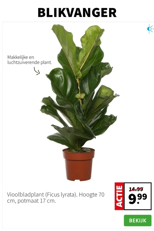 Pagina 2 van Intratuin-folder
