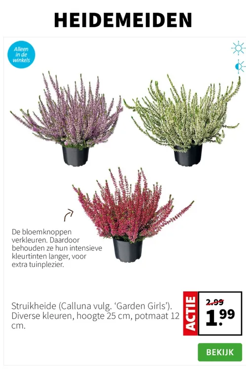 Pagina 5 van Intratuin-folder