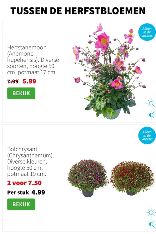 Pagina 6 van Intratuin-folder