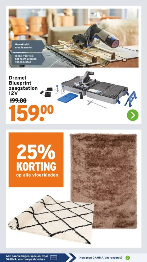 Pagina 13 van Gamma-folder
